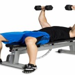 best workout bench