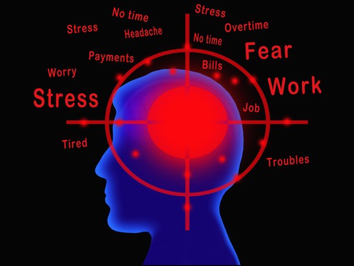 Stress brain activity